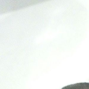 Meet your Posher, Rose